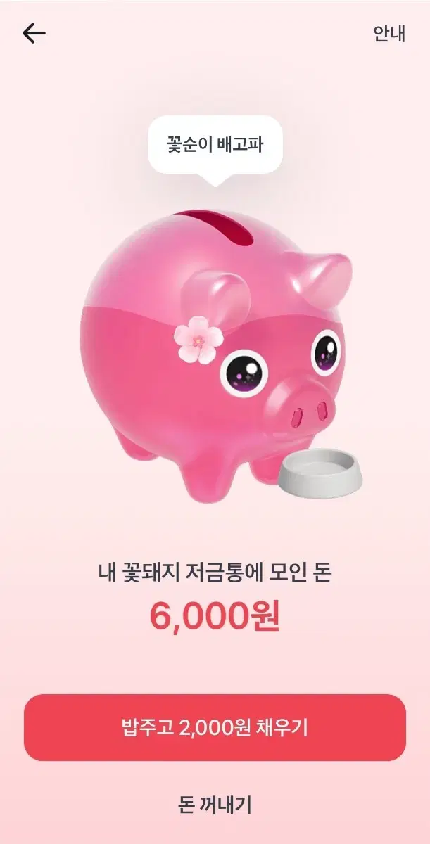 토스 꽃돼지